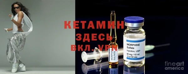 шишки Новодвинск
